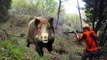 Caccia al cinghiale in Ungheria - Chasse sanglier in Ungherie Battue Battuta Wild boar Hunting