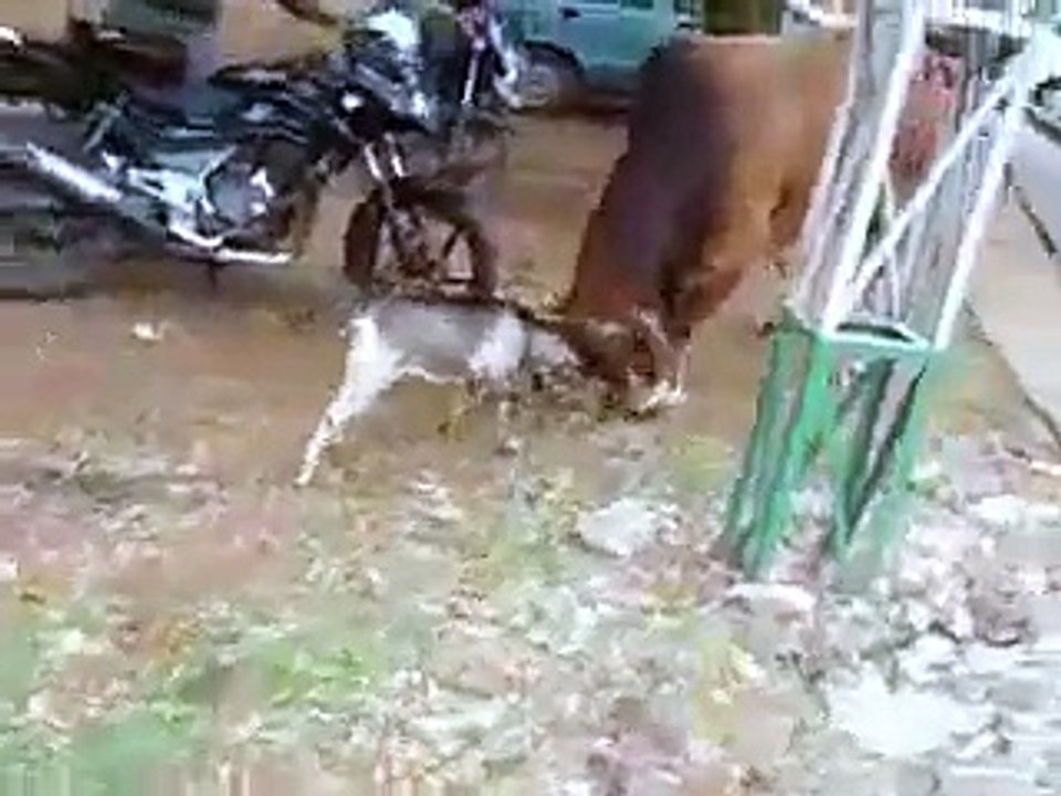 darpook kia janay bahadri kia hay