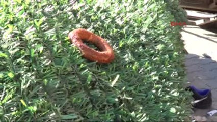 Samsun'da Kadın Sürücü Dehşet Saçtı : 1 Ölü, Biri Ağır 5 Yaralı