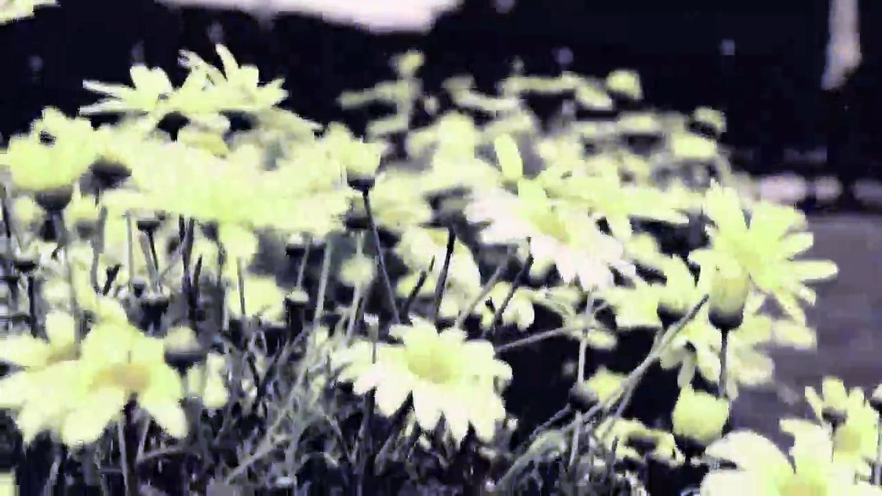 Timelapse : Zeitraffer - Croatia City of Saints 2013 /Full Film/Complete Movie/Ganzer Film