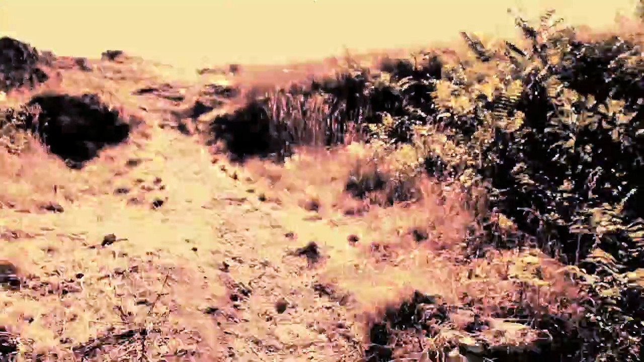 Timelapse : Zeitraffer - Croatia Novigrad 2013 /Full Film/Complete Movie/Ganzer Film