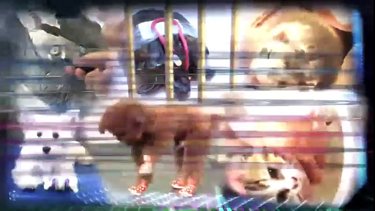 寵物ER EP03