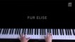 Fur Elise - Beethoven [ Top 4 Classical Piano Song ]