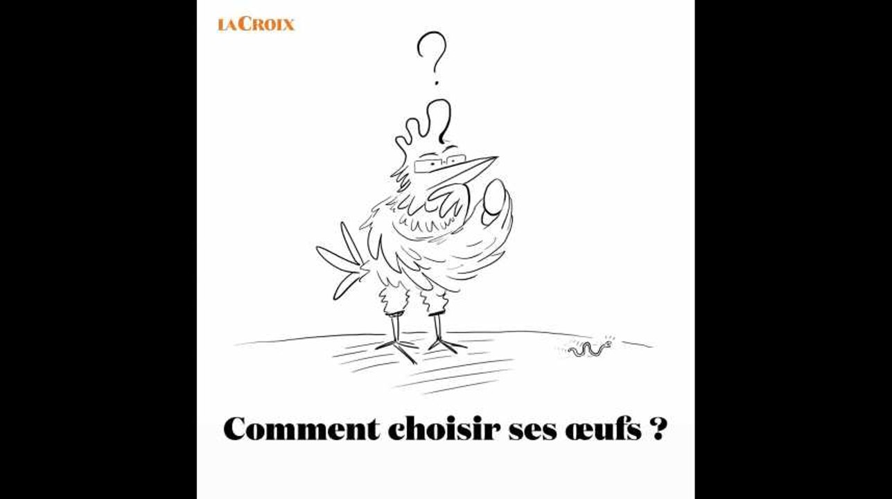 Comment choisir ses œufs ? | Le tour de la question