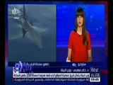 غرفة الأخبار |  وزير البيئة يشرح لسي بي سي تفاصيل هجوم سمكة القرش بالعين السخنة