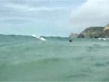Les pros du Surf en terres Basques