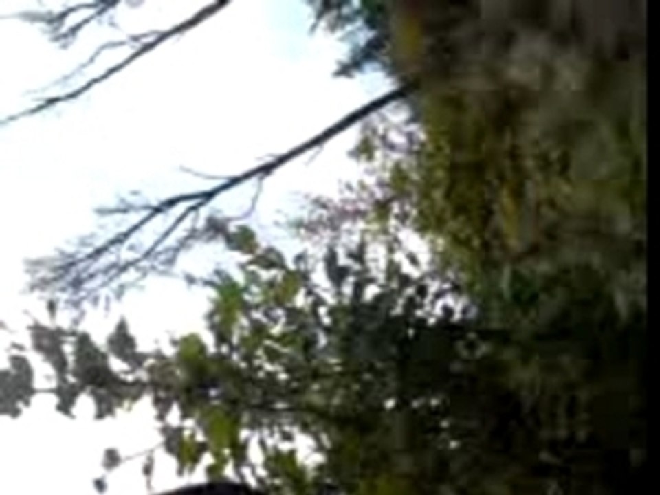 Descente VTT par des pros au Bikepark du Lac Blanc