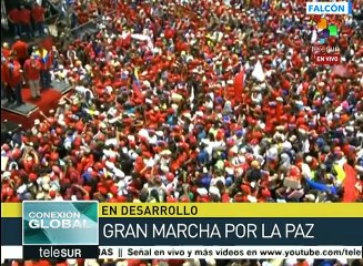 Dice PSUV que oposición hace terrorismo para tratar de llegar al poder