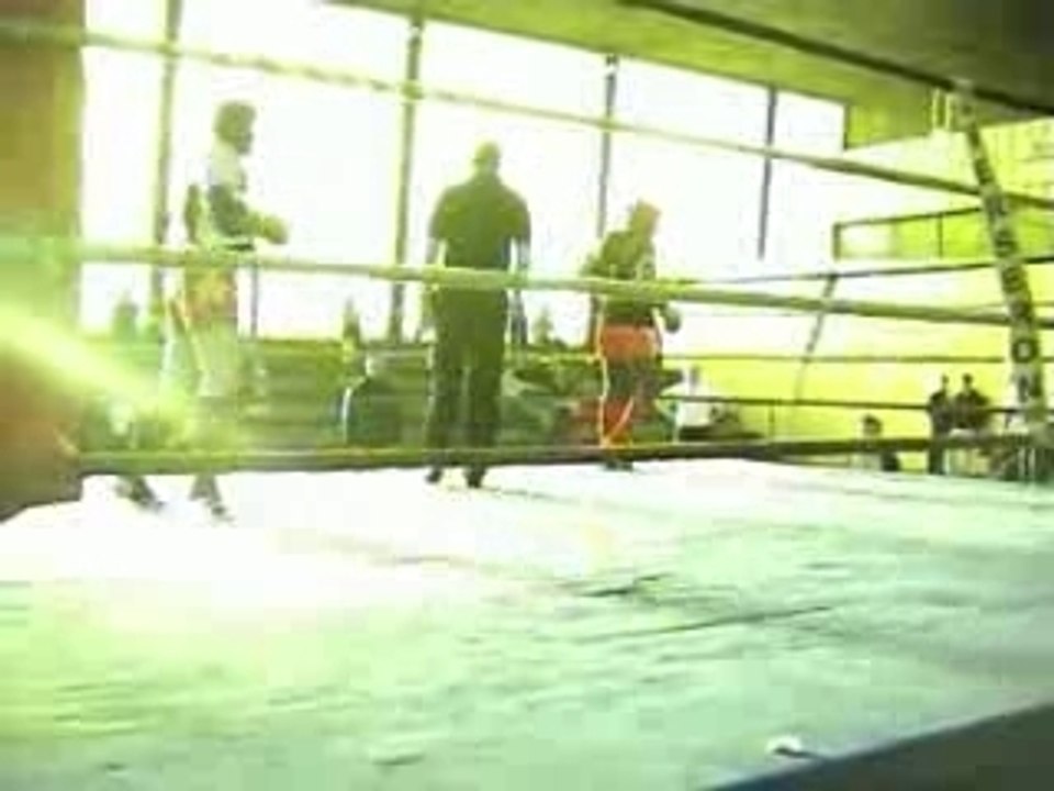 Poussin aymar Djoko Junior