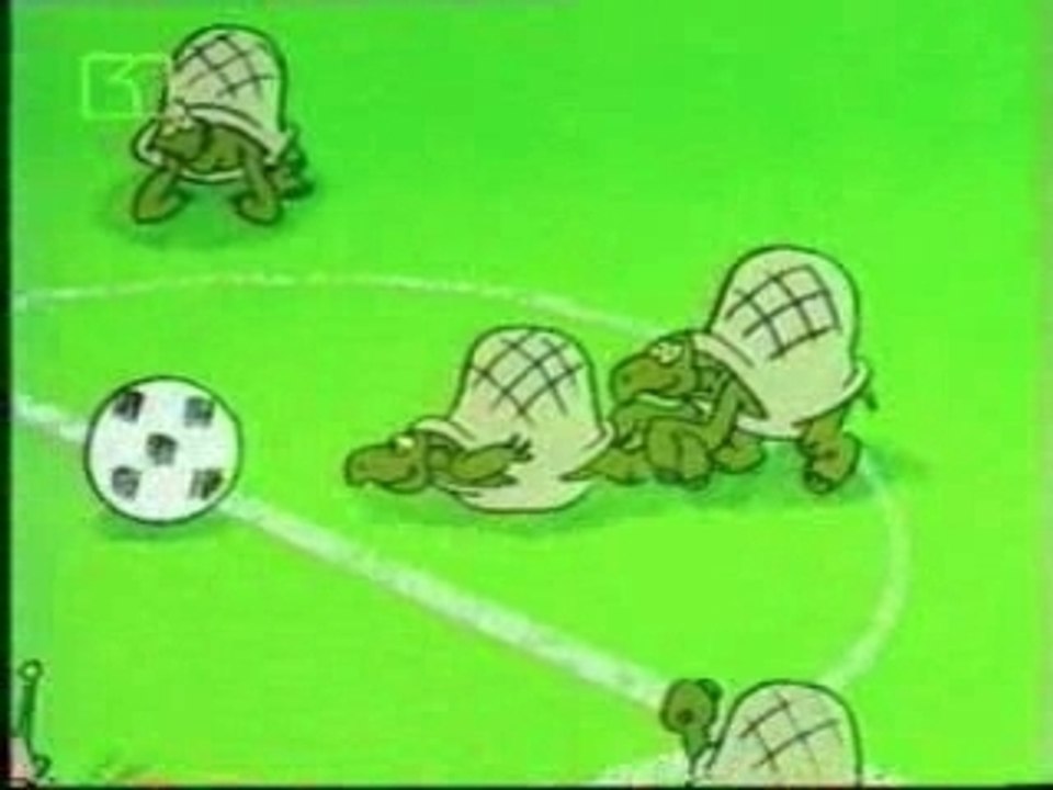 ZooCup - Tortoises vs Snails