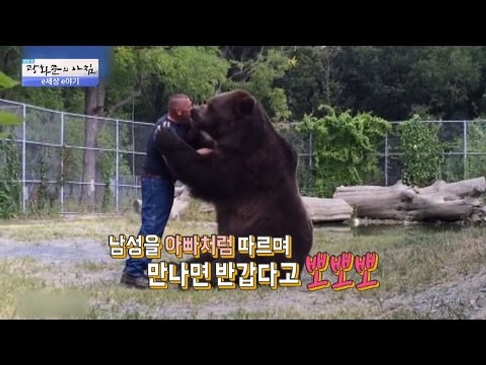 사람하고 뽀뽀하는 불곰! [광화문의 아침] 358회 20161115