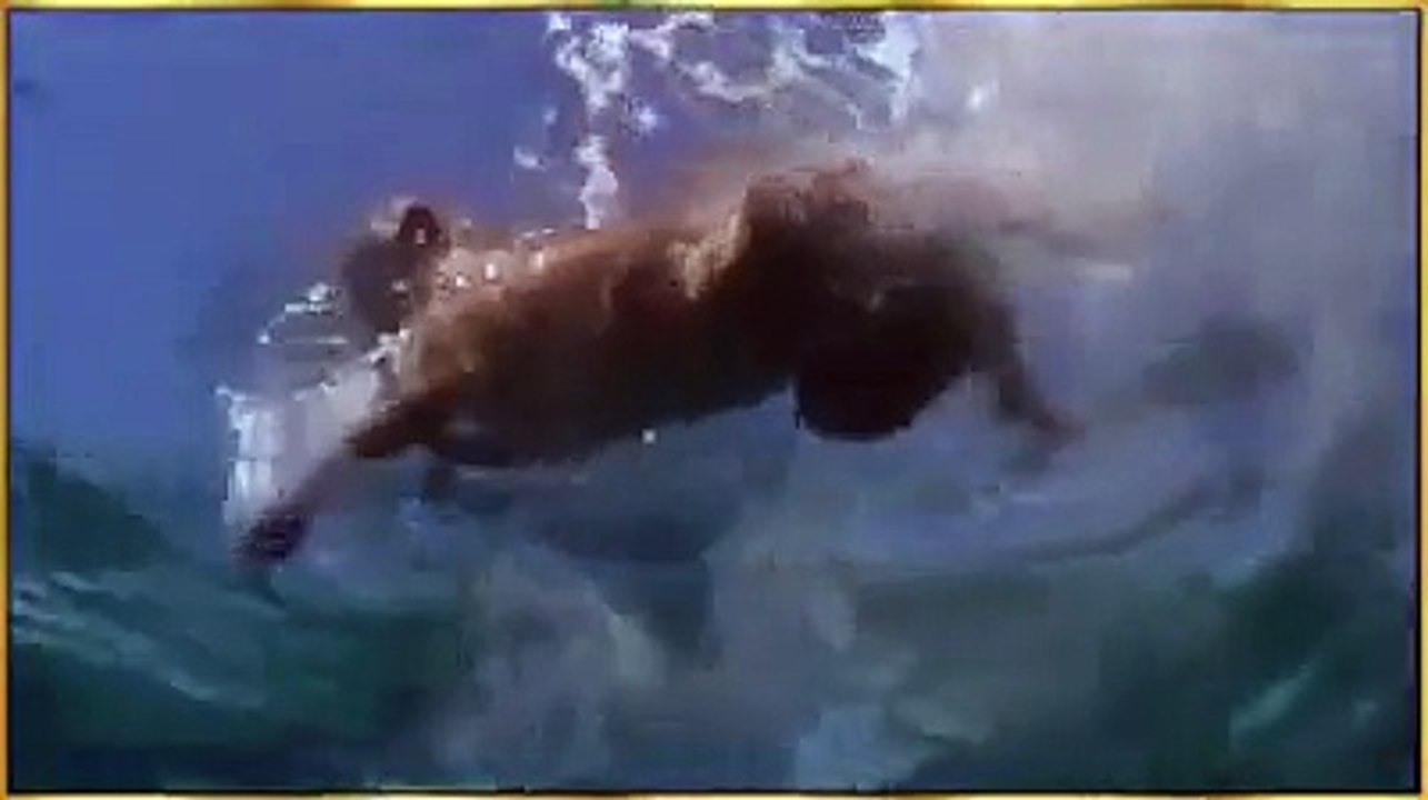 বাঁচায় আল্লাহ মারে কে -