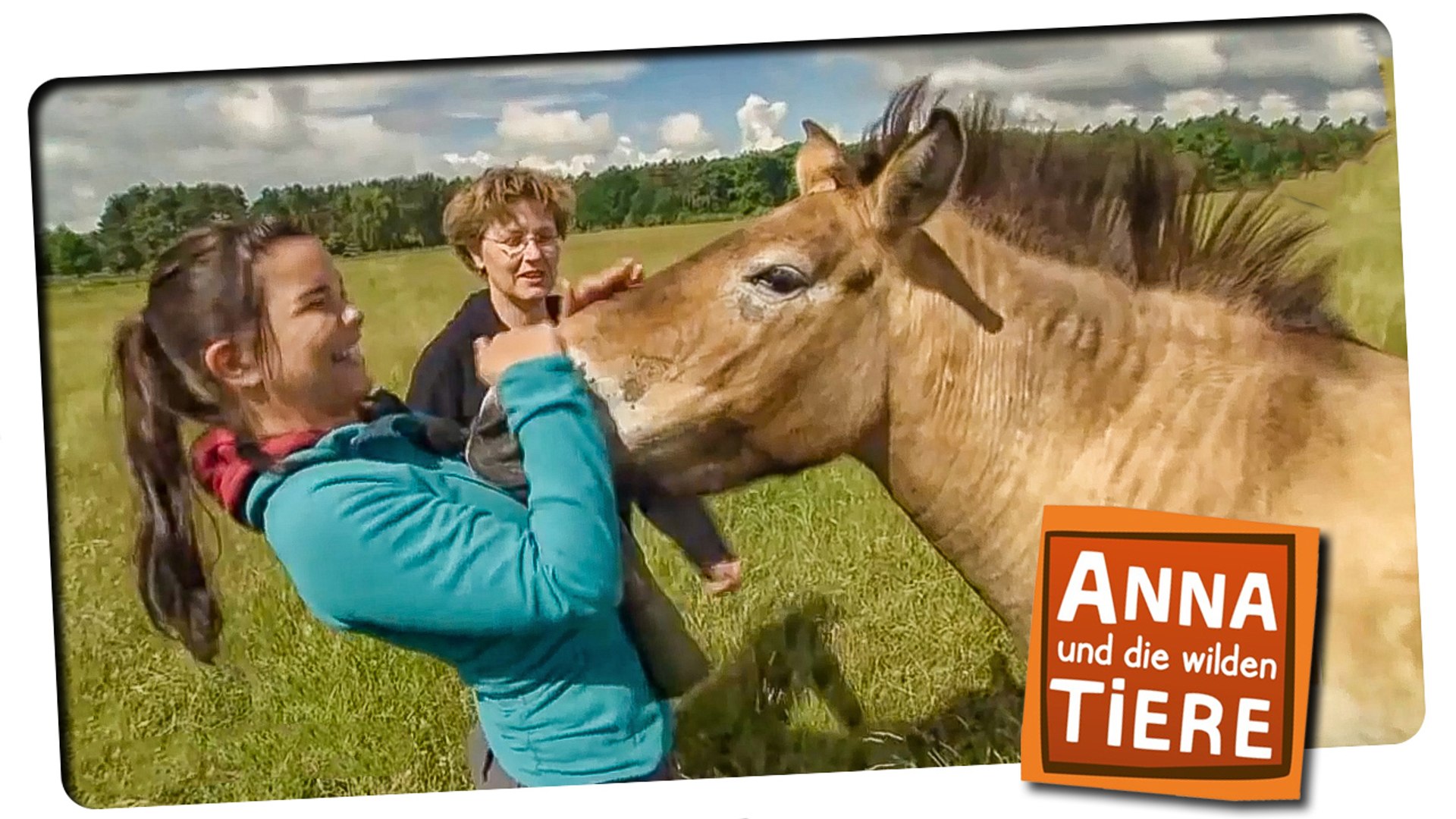 Anna und die wilden Tiere | Folge 1 | Wie wild ist das Wildpferd | deutsch  | german | HD - video Dailymotion