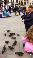 Piazza San Marco, Venice, Italy May 10,2016