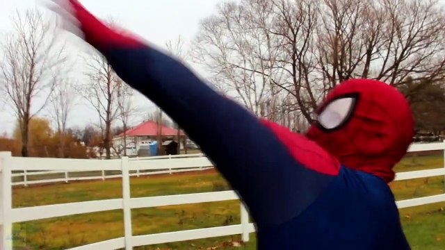 Evil Elsa KIDNAPS SANTA CLAUS! w_ Spiderman Frozen Elsa & Anna Superman Witch! Superhero Fun -)-01glWAcpT