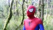 New Spiderman Bath Time - In Real Life _ Tropical Island Adventure _ Superhero Movie-PJ9gCJxf