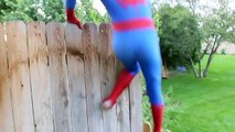 Spiderman vs Black Spiderman - Real Life Superhero Battle _ Boxing Fight-E7oEkT1M