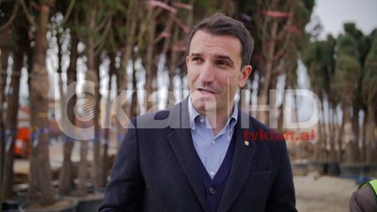 Nis mbjellja e pemëve në bulevardin e ri