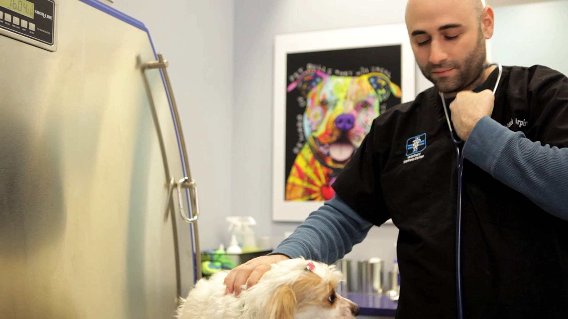 ⁣Welcome to Veterinary Wellness Center