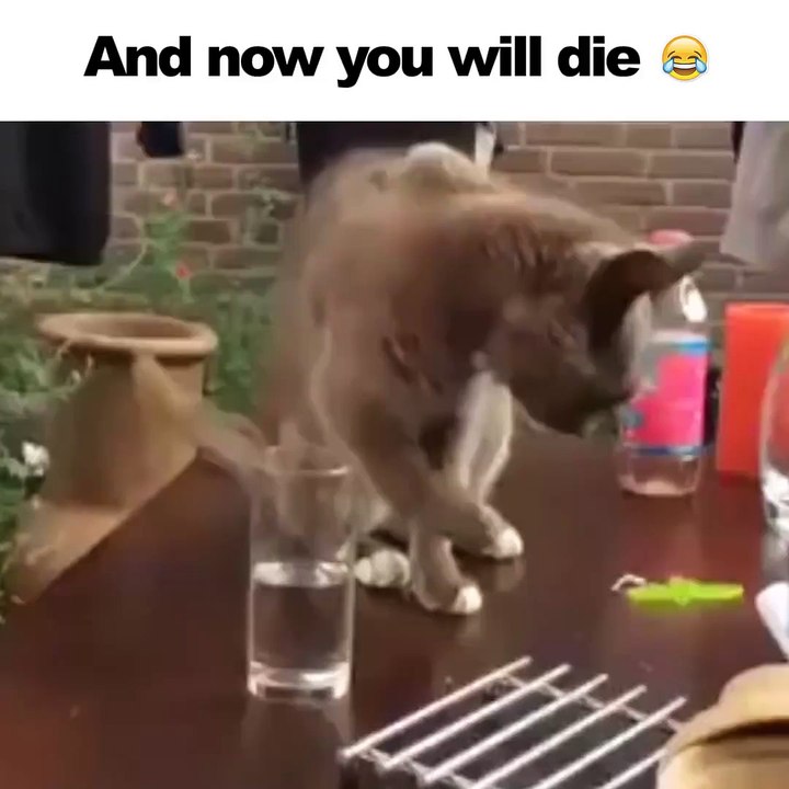 Go - That Face though