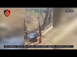 Zbardhet ngjarja - I vendosi eksploziv mobilierisë në Nikël, arrestohet 46-vjeçari me 35 kg kanabis
