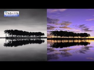 사진 한 장을 놓고 벌어진 소송 사건은? [광화문의 아침] 356회 20161111