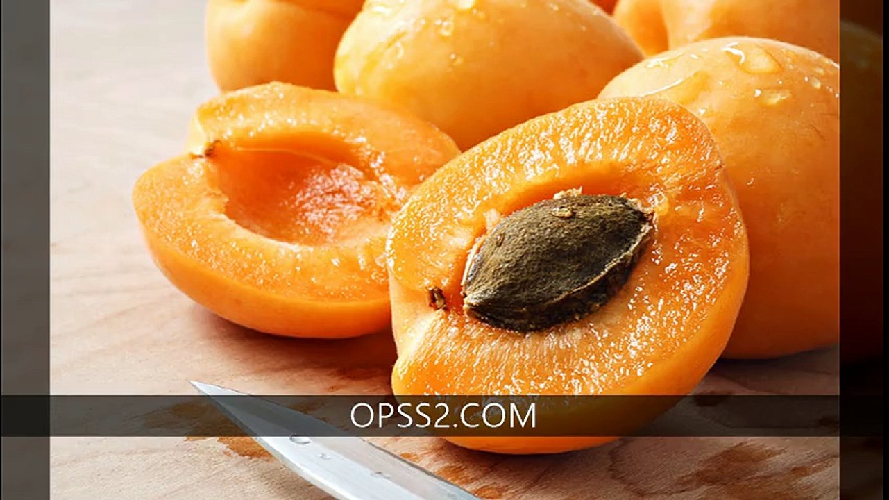 APRICOT 일산오피 OPSS2.COM  오피쓰 일산건마