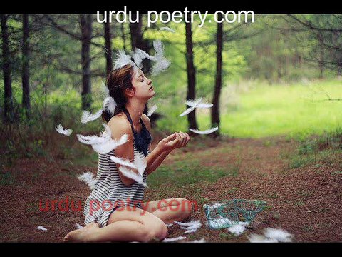 New Best 2017 urdu,Hindi Poetry,Meri Kahani New Poetry broken heart 2017