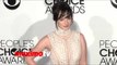 Ashley Rickards People's Choice Awards 2014 - Red Carpet Arrivals