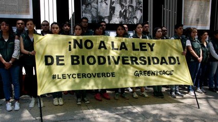 Greenpeace-México protesta contra la ley de Biodiversidad