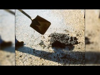 Mumbai's man fills potholes to pay tribute to his deceased son