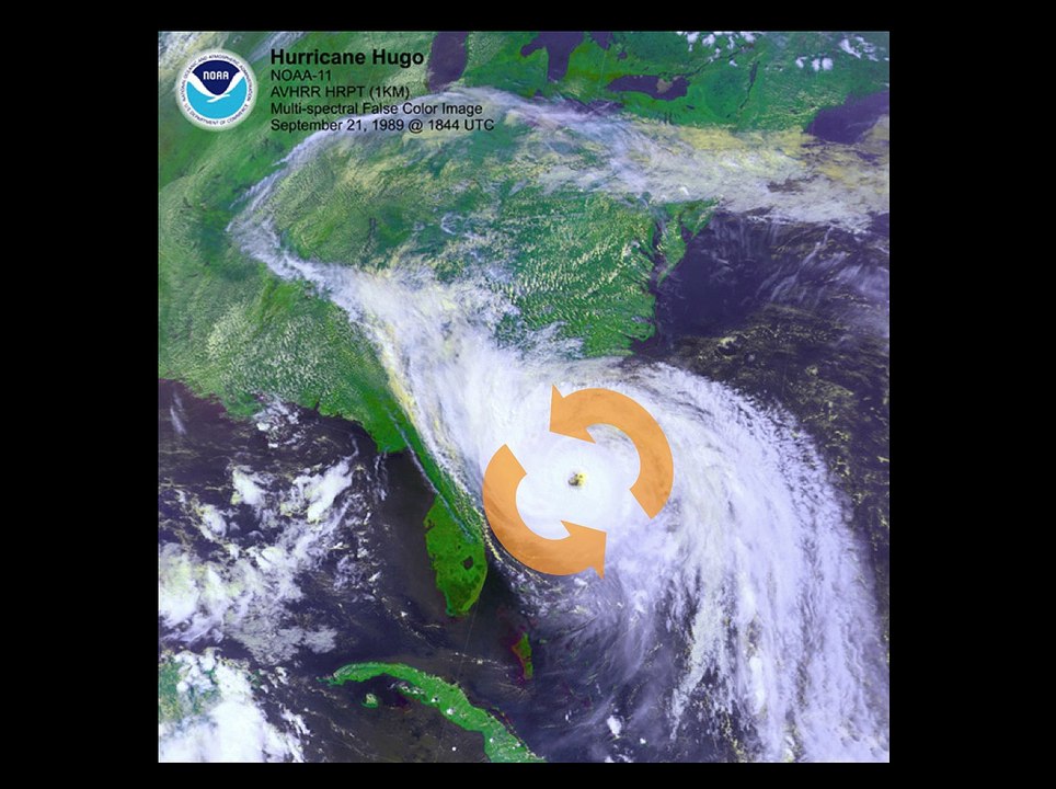 Hurricanes - Jamie Reece Moore