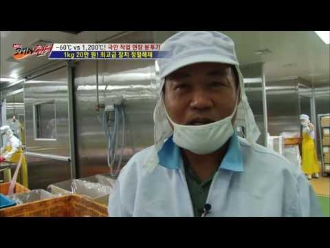 1kg 20만 원! 최고급 참치 뱃살! [뉴 코리아 헌터] 23회 20161109