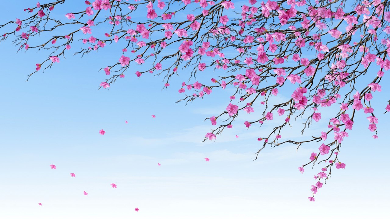 Japanese Spring