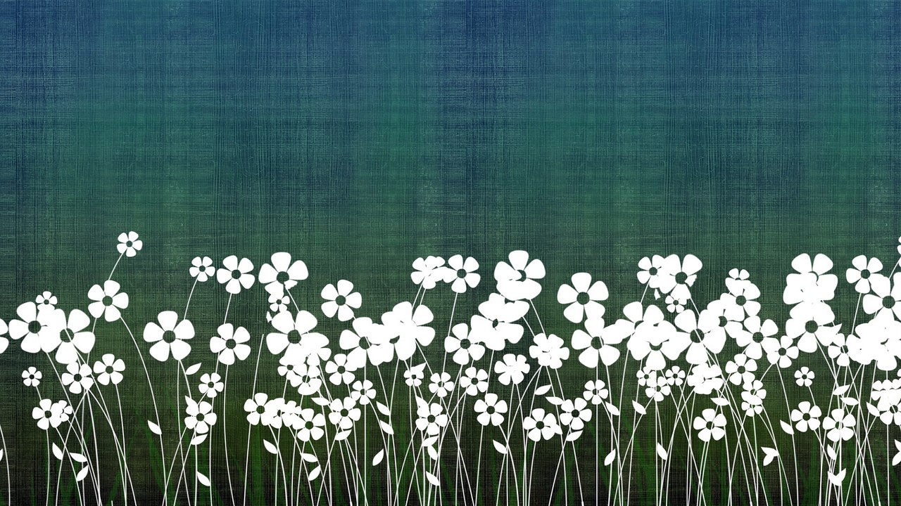 Virgin Blossoms