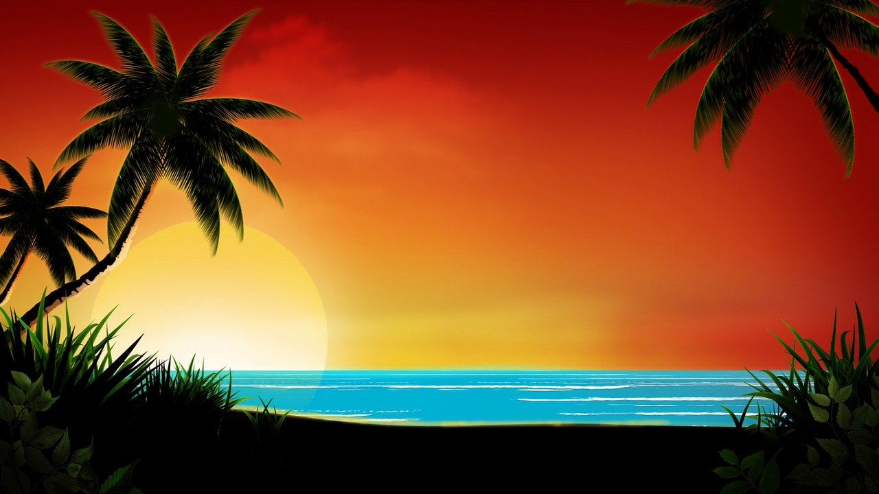Watching The Sunset