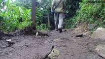 Costa Rica - Abenteuer und Action mit travel