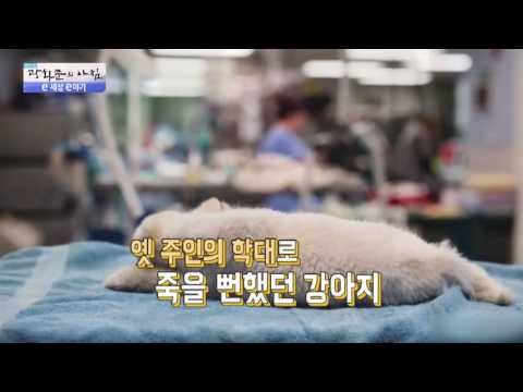 어린아이의 우정, 영화 같은 이야기! [광화문의 아침] 352회 20161107