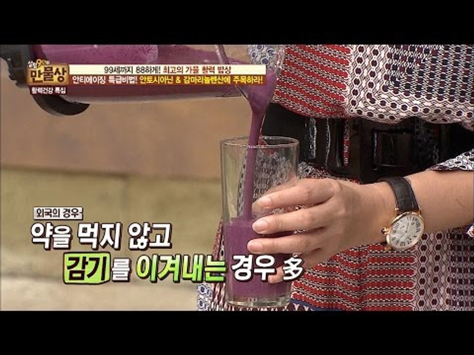 외국의 민간요법 ‘블랙커런트 베리’ [만물상 165회] 20161106