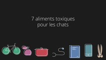 7 aliments toxiques pour les chats-ZuDaum5rGKA