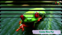 Costa Rica Pur mit travel-to-nature-FZHbgkf2Rbs