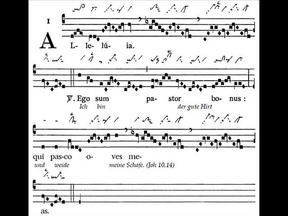 Alleluia Ego sum pastor, Dominica IV Paschae (4 TP)