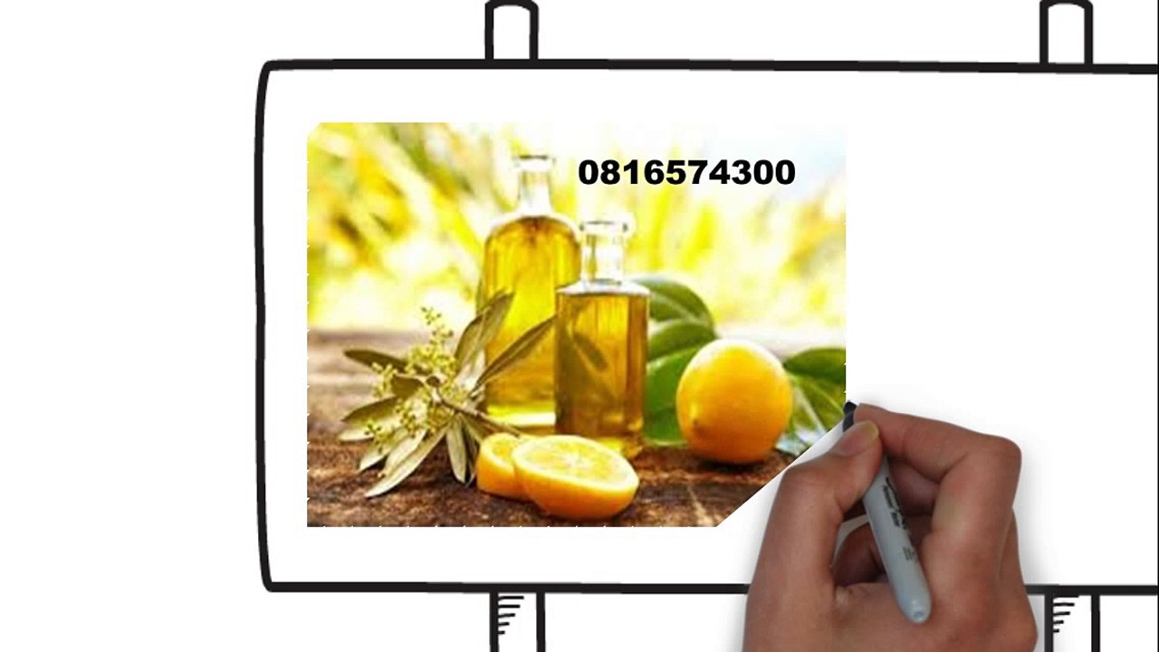 081-657-4300 (Indosat) Jual Minyak Zaitu Murah Surakarta