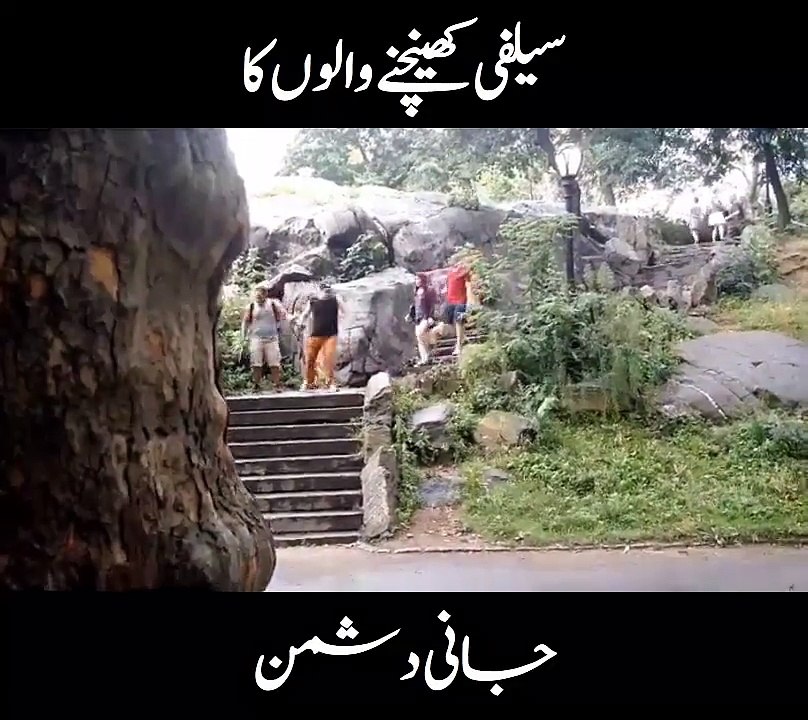 ‫Digital Pura - سیلفی کھینچنے والوں کا جانی دشمن‬