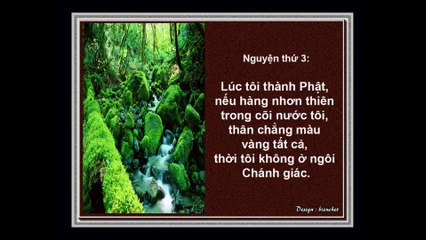 48 Đại Nguyện của Đức Phật A Di Đà và Trường Kinh A Di Đà