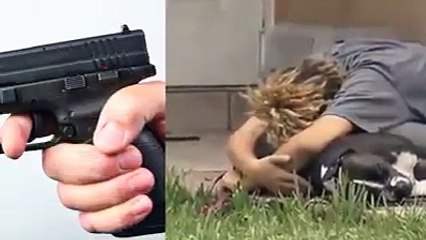 Us Police Can Now Legally Kill Your Dog