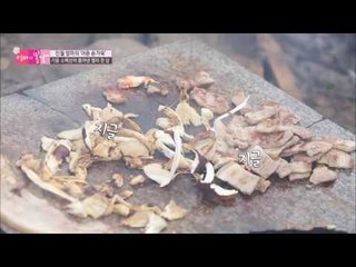 돌판에 굽는 삼겹살의 기가 막힌 소리! [엄마의 봄날] 65회 20161106