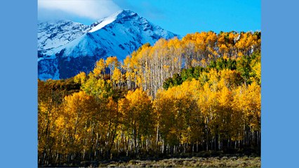 Park Avenue Parties Tent Rental