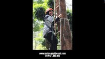 Outbound High Rope, 082.131.472.027, www.malangoutbound.com