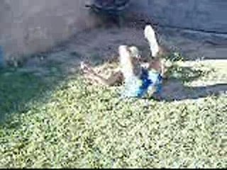 Gamele